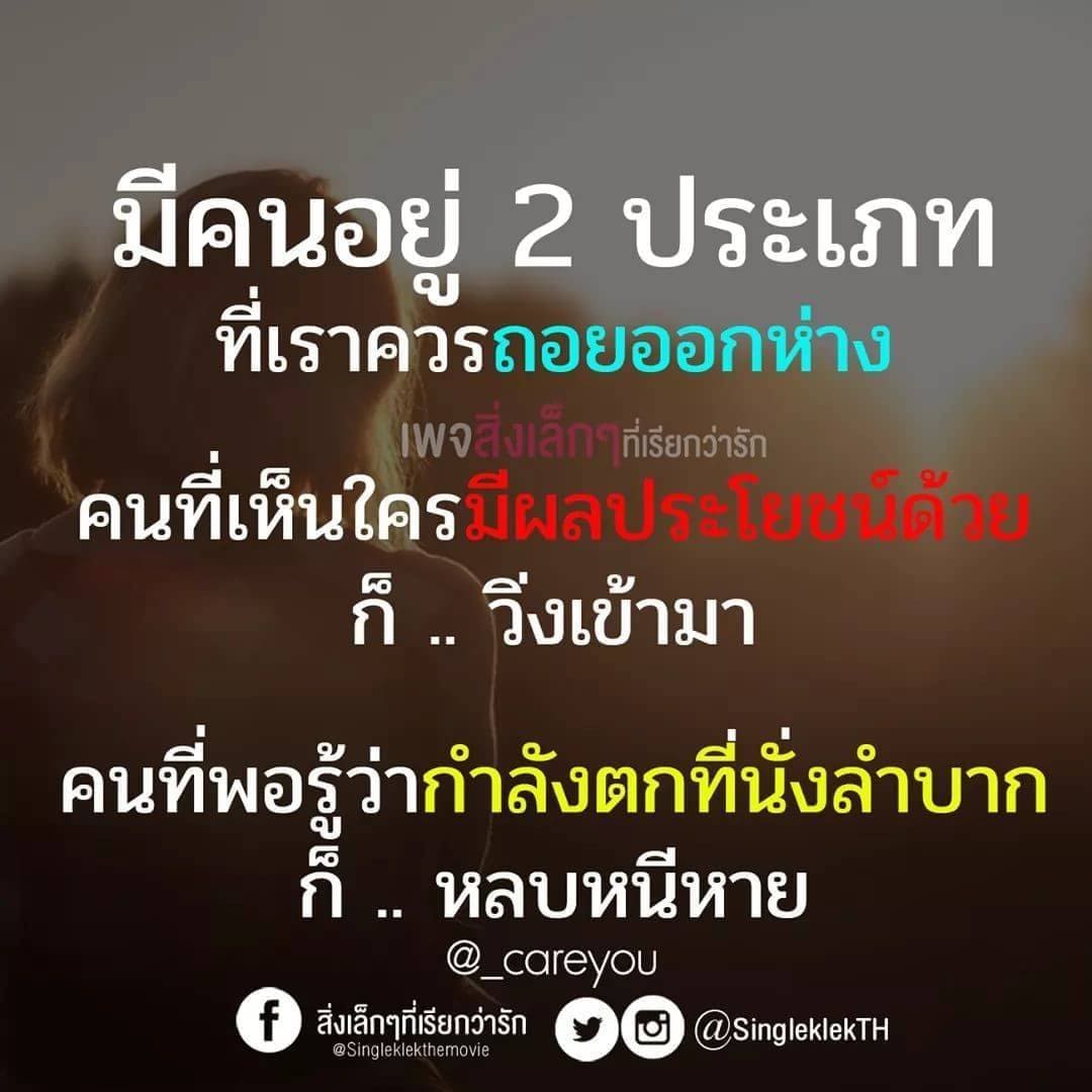 ไม่ธรรมดา 100 คําคมกวนตีน สำหรับเรียกไลค์ กฏของการเป็นเสือ  ห้ามหลงรักเหยื่อและห้ามกินเนื้อของคนอื่น.